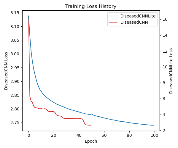 Training Loss